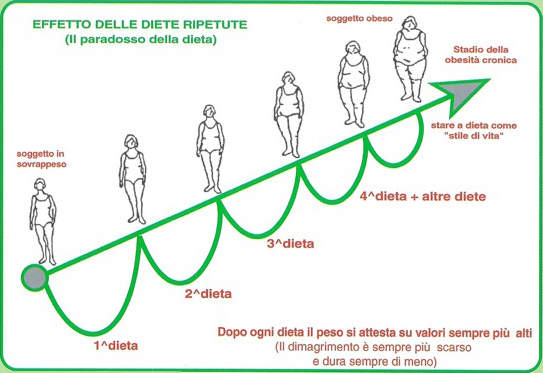 Il ciclo della classica dieta